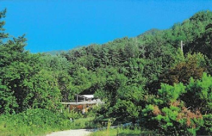 강원특별자치도 강릉시 성산면 산북리 산172-2 임야 경매 사진 5
