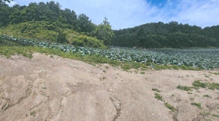 강원특별자치도 강릉시 왕산면 고단리 551 전 경매 사진 7