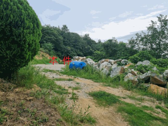강원특별자치도 동해시 천곡동 산255 임야 경매 사진 2