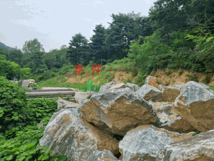 강원특별자치도 동해시 천곡동 산255 임야 경매 사진 4
