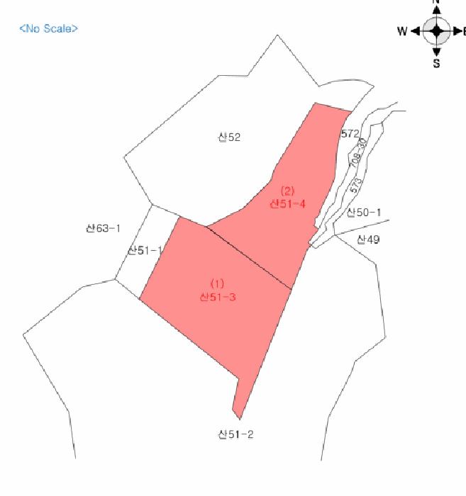 강원특별자치도 춘천시 동면 지내리 산51-3 임야 경매 사진 11