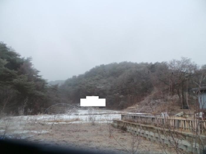 강원특별자치도 춘천시 동면 지내리 산51-3 임야 경매 사진 7