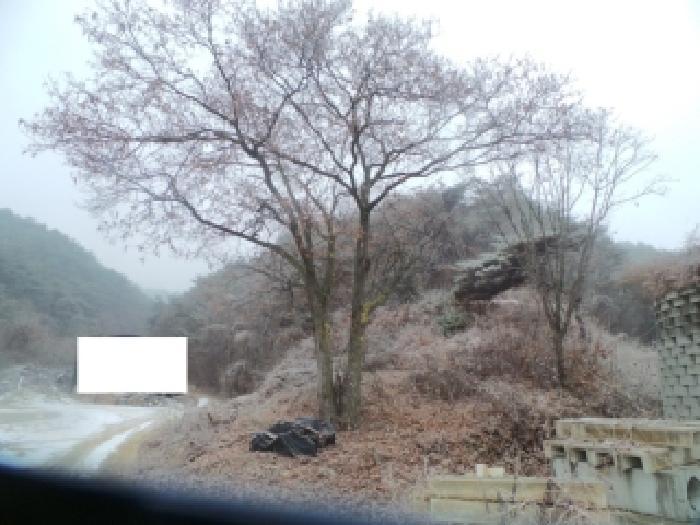 강원특별자치도 춘천시 동면 지내리 산51-3 임야 경매 사진 8