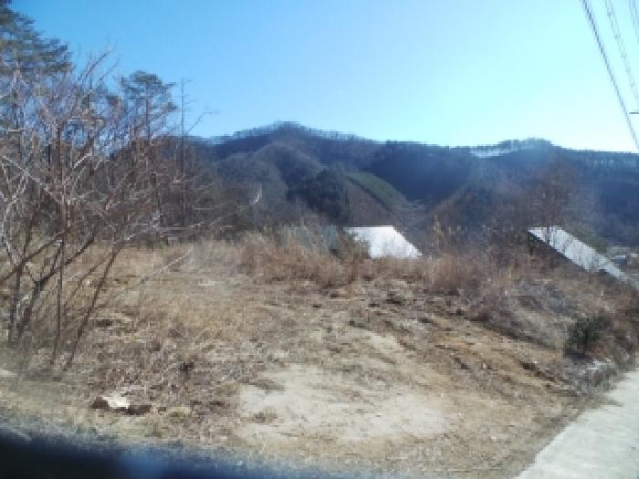강원특별자치도 춘천시 남산면 산수리 산137-9 임야 경매 사진 10
