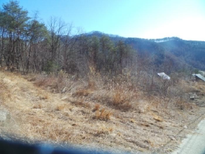 강원특별자치도 춘천시 남산면 산수리 산137-9 임야 경매 사진 4