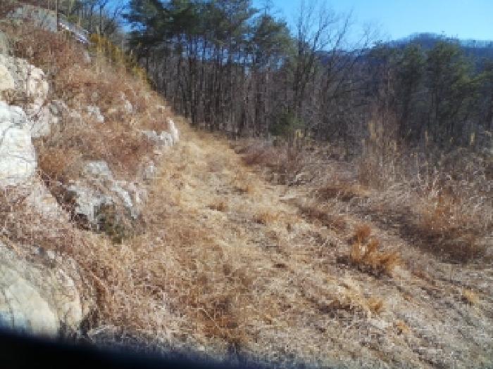 강원특별자치도 춘천시 남산면 산수리 산137-9 임야 경매 사진 5