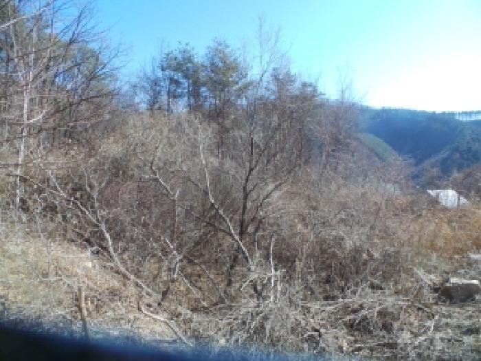 강원특별자치도 춘천시 남산면 산수리 산137-9 임야 경매 사진 7