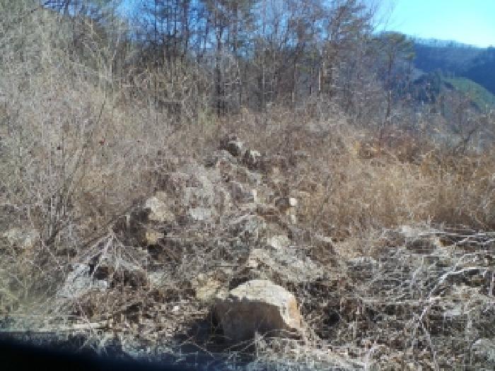 강원특별자치도 춘천시 남산면 산수리 산137-9 임야 경매 사진 8