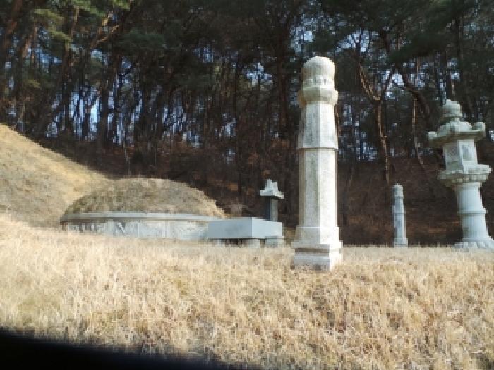 강원특별자치도 춘천시 신동면 정족리 산115-5 임야 경매 사진 12