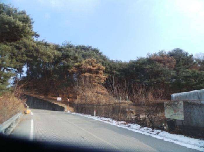 강원특별자치도 춘천시 신동면 정족리 산115-5 임야 경매 사진 15
