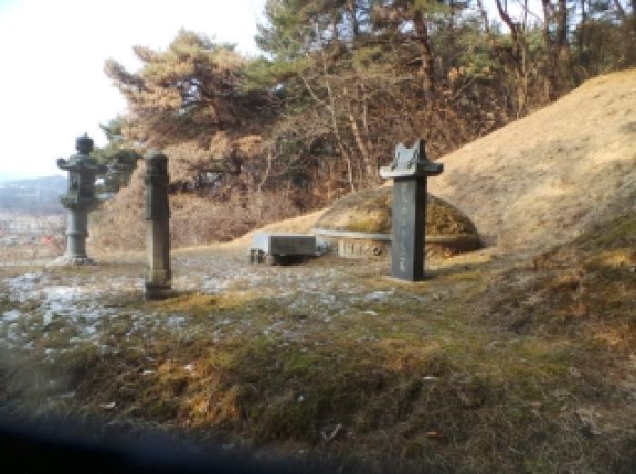 강원특별자치도 춘천시 신동면 정족리 산115-5 임야 경매 사진 16