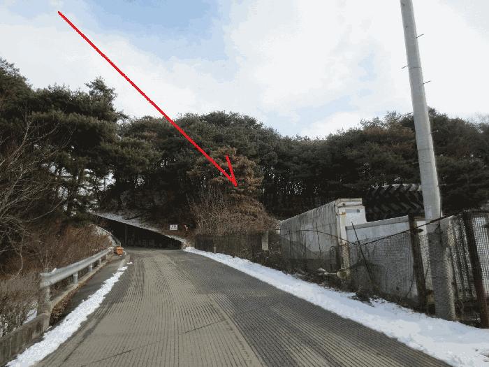 강원특별자치도 춘천시 신동면 정족리 산115-5 임야 경매 사진 3