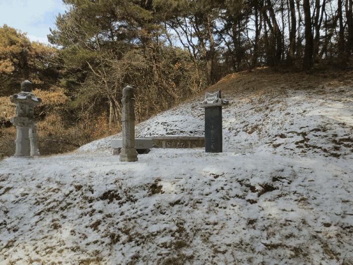 강원특별자치도 춘천시 신동면 정족리 산115-5 임야 경매 사진 4