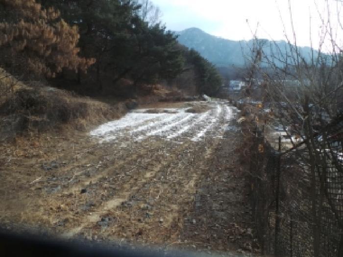 강원특별자치도 춘천시 신동면 정족리 산115-5 임야 경매 사진 8