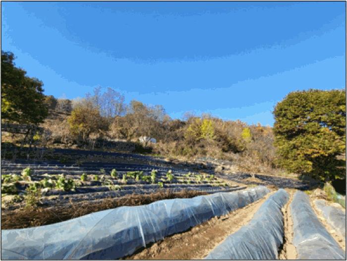 강원특별자치도 원주시 흥업면 흥업리 1290-3 전 경매 사진 2