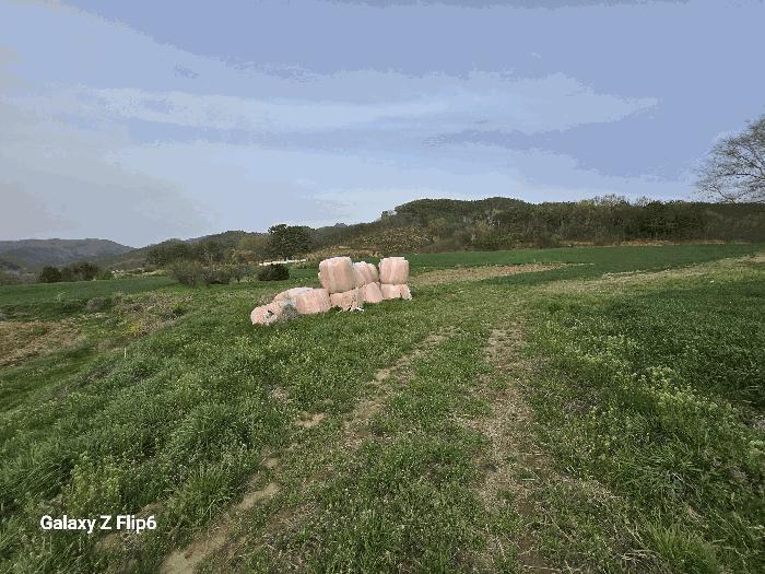 인천 논산시 전