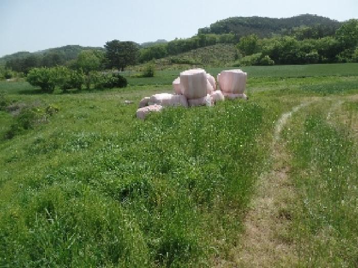 충청남도 논산시 양촌면 인천리 10 전 경매 사진 11