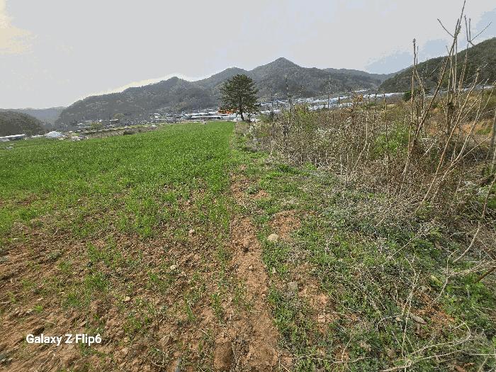충청남도 논산시 양촌면 인천리 10 전 경매 사진 6