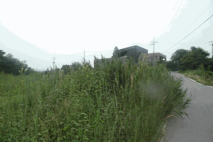 충청남도 논산시 연산면 한전리 산15-8 임야 경매 사진 2