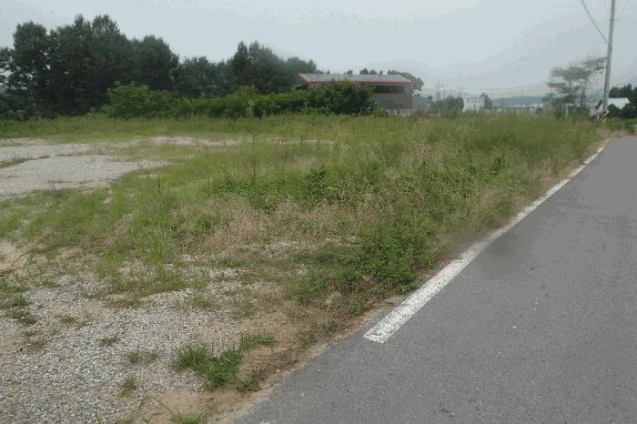 충청남도 논산시 연산면 한전리 산15-8 임야 경매 사진 3