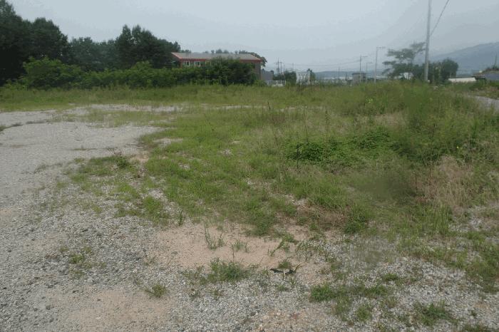 충청남도 논산시 연산면 한전리 산15-8 임야 경매 사진 5