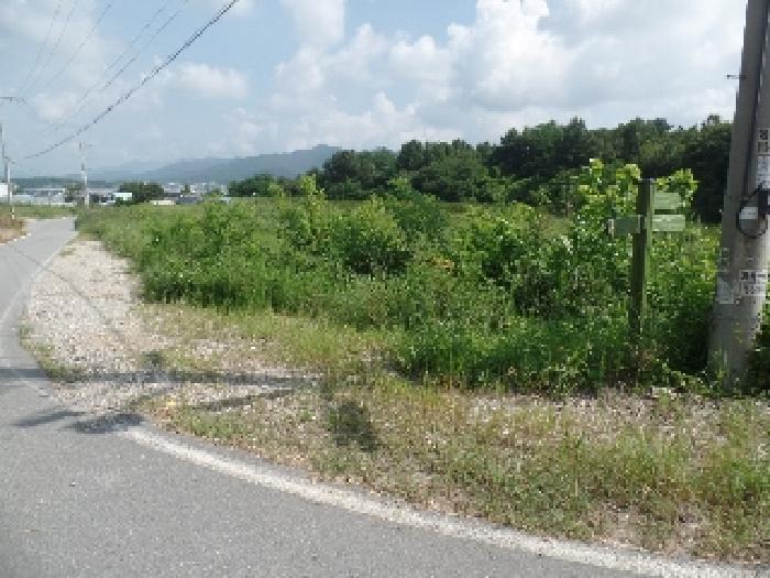 충청남도 논산시 연산면 한전리 산15-8 임야 경매 사진 9