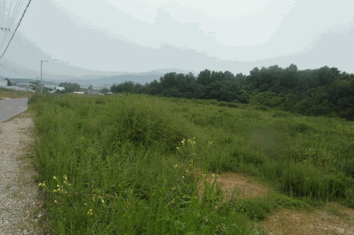 충청남도 논산시 연산면 한전리 335-3 임야 경매 사진 1