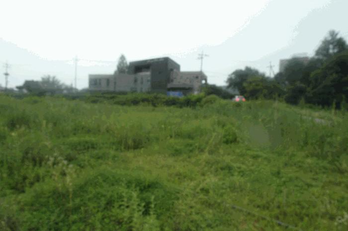 충청남도 논산시 연산면 한전리 335-3 임야 경매 사진 4