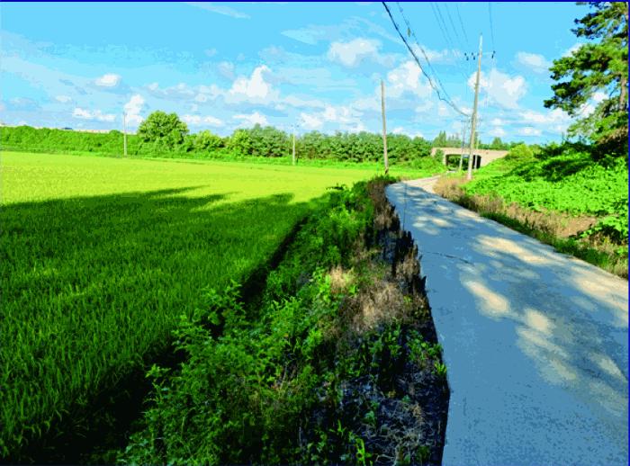 충청남도 논산시 연무읍 봉동리 90-12 답 경매 사진 1