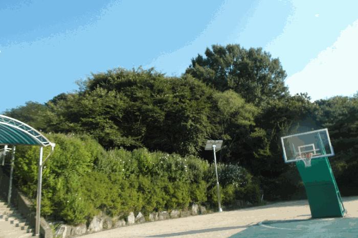 충청남도 계룡시 엄사면 엄사리 232-177 임야 경매 사진 1