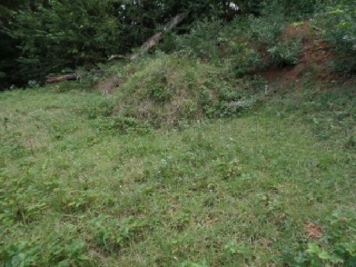 충청남도 계룡시 엄사면 엄사리 232-177 임야 경매 사진 10