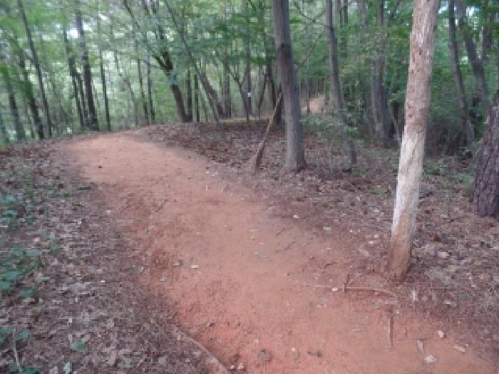 충청남도 계룡시 엄사면 엄사리 232-177 임야 경매 사진 7