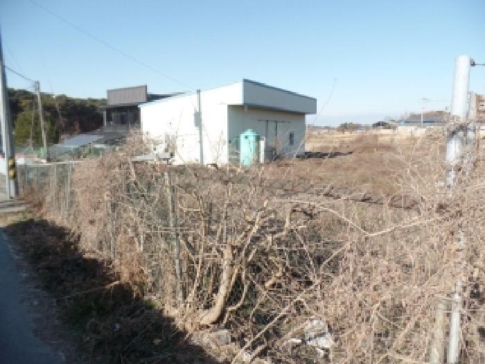 충청남도 논산시 연무읍 안심리 1102-24 임야 경매 사진 12