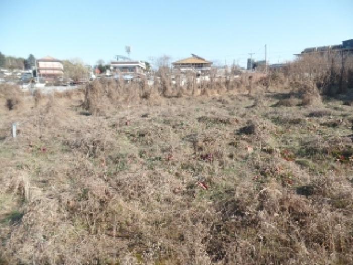 충청남도 논산시 연무읍 안심리 1102-24 임야 경매 사진 17