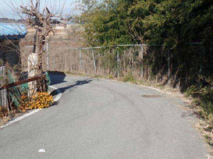 충청남도 논산시 연무읍 안심리 1119-5 도로 경매 사진 13