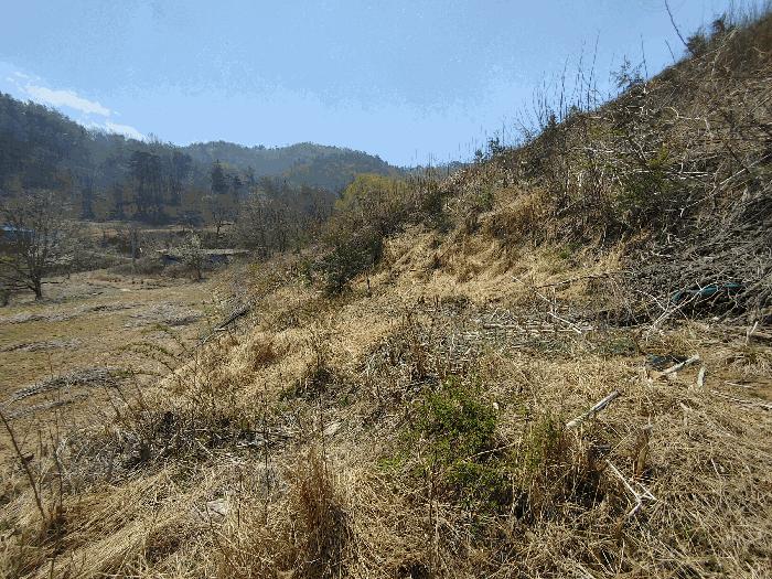 충청남도 부여군 부여읍 송곡리 산53 임야 경매 사진 1
