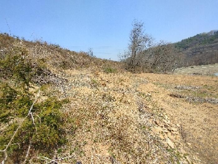 충청남도 부여군 부여읍 송곡리 산53 임야 경매 사진 10