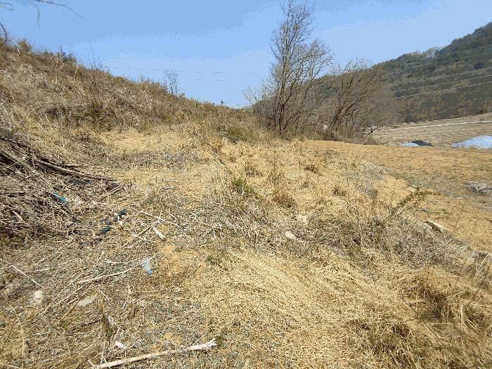 충청남도 부여군 부여읍 송곡리 산53 임야 경매 사진 3