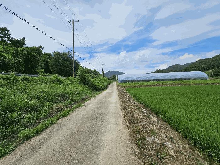 충청북도 충주시 소태면 야동리 657 답 경매 사진 1