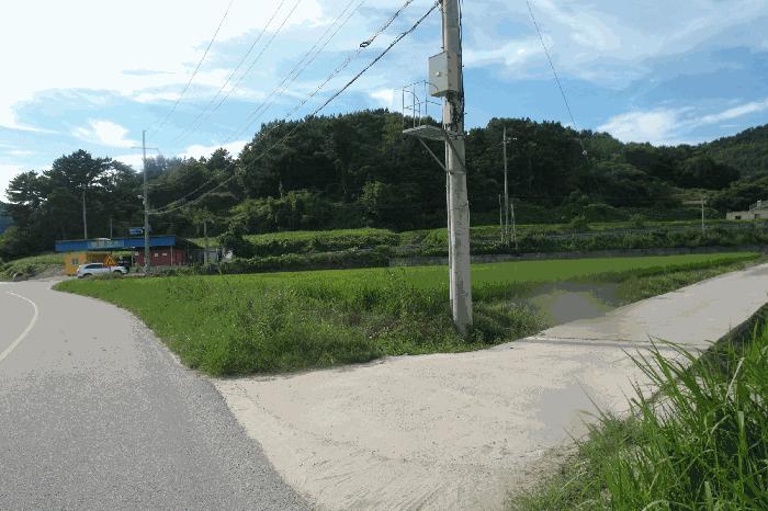 충청남도 부여군 부여읍 염창리 245-2 답 경매 사진 2