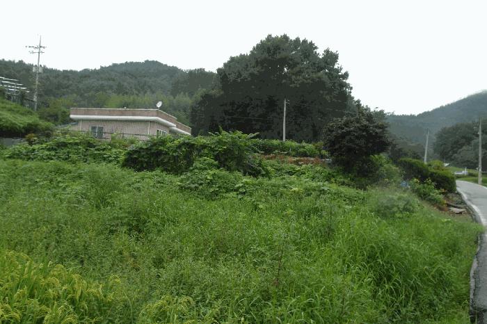 충청남도 부여군 부여읍 염창리 412-3 답 경매 사진 12