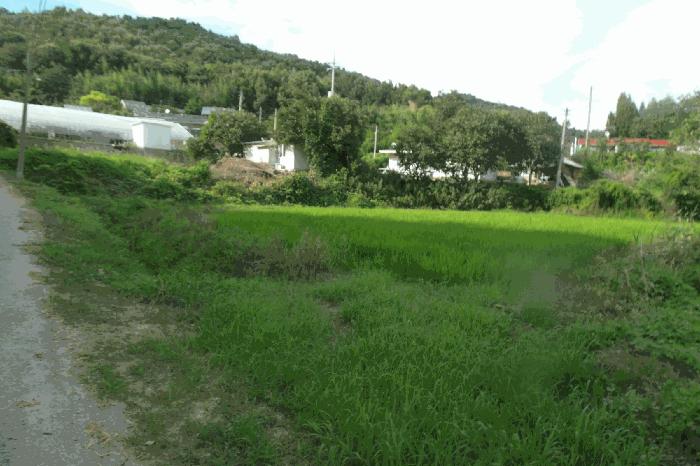 충청남도 부여군 부여읍 염창리 412-3 답 경매 사진 13
