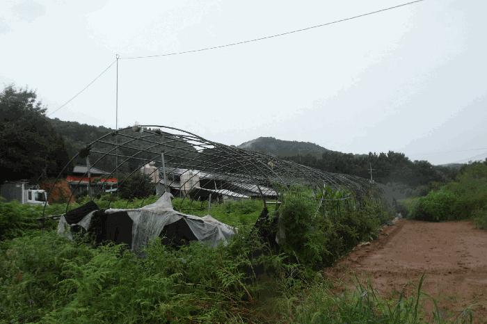 충청남도 부여군 부여읍 염창리 105 답 경매 사진 6