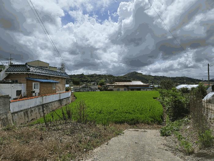 충청남도 부여군 남면 마정리 872 답 경매 사진 2