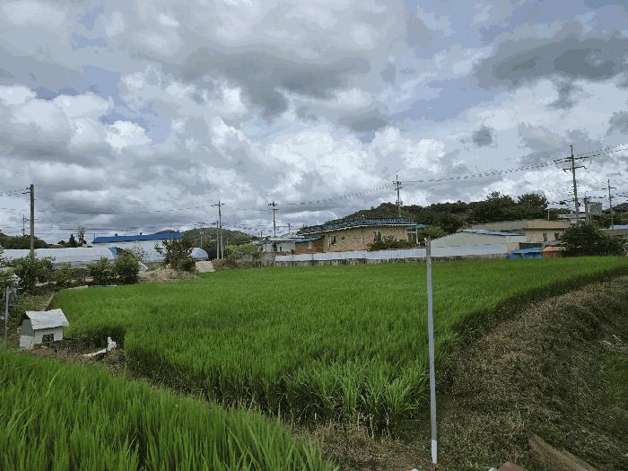 충청남도 부여군 남면 마정리 872 답 경매 사진 4