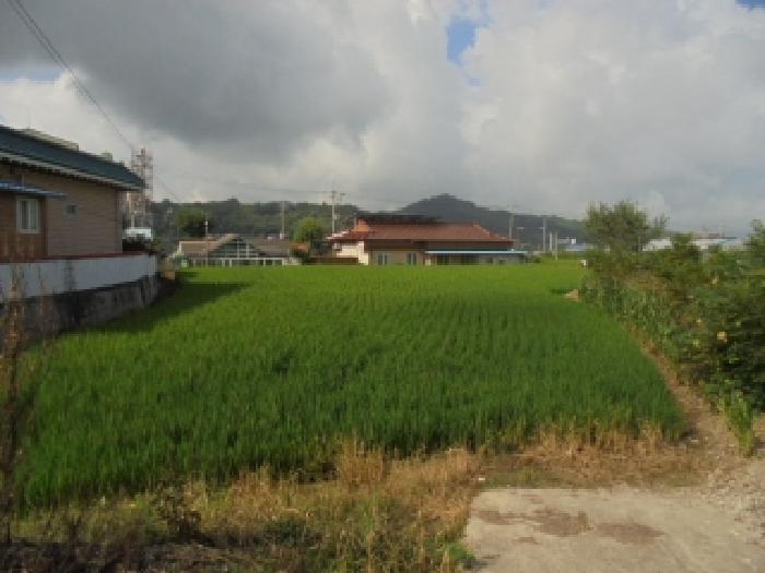 충청남도 부여군 남면 마정리 872 답 경매 사진 5