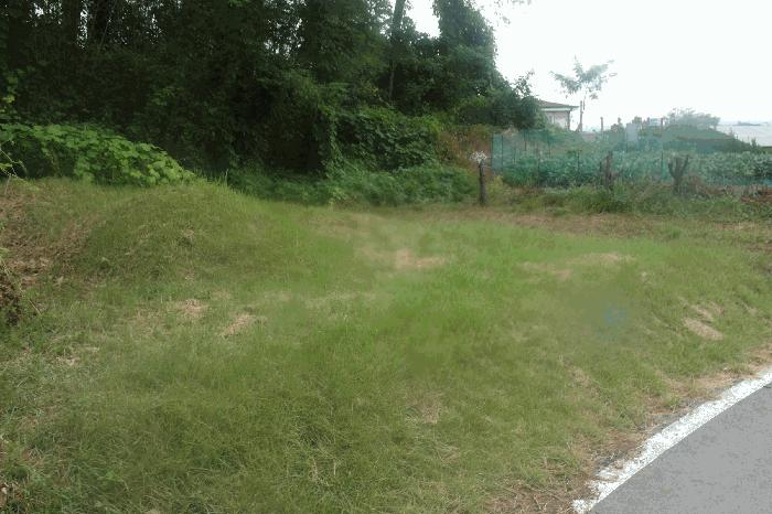 충청남도 논산시 상월면 산성리 323-6 대지 경매 사진 2