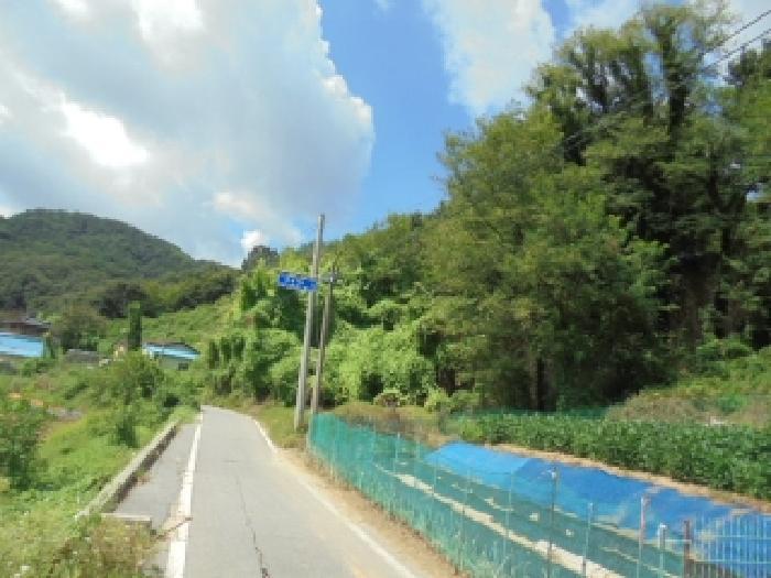 충청남도 논산시 상월면 산성리 323-6 대지 경매 사진 5