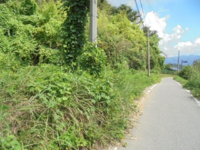 충청남도 논산시 상월면 산성리 323-6 대지 경매 사진 8