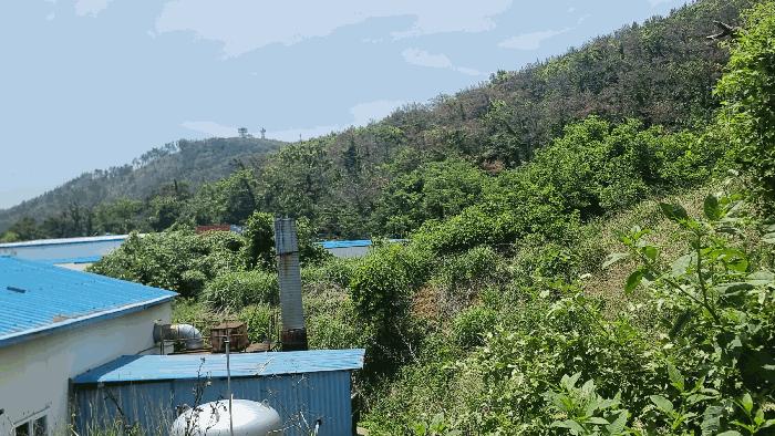 경상북도 포항시 남구 호미곶면 강사리 669-3 공장 경매 사진 19